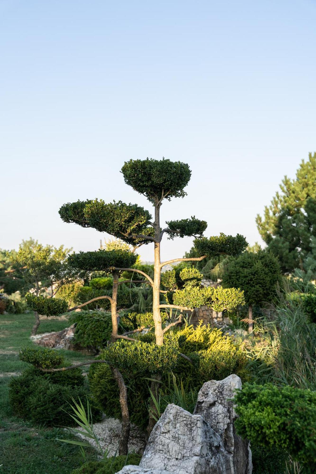 Villa Garden Залегершег Екстериор снимка